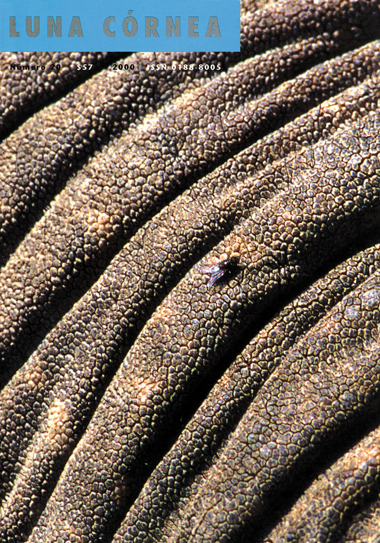 Luna Córnea 20
